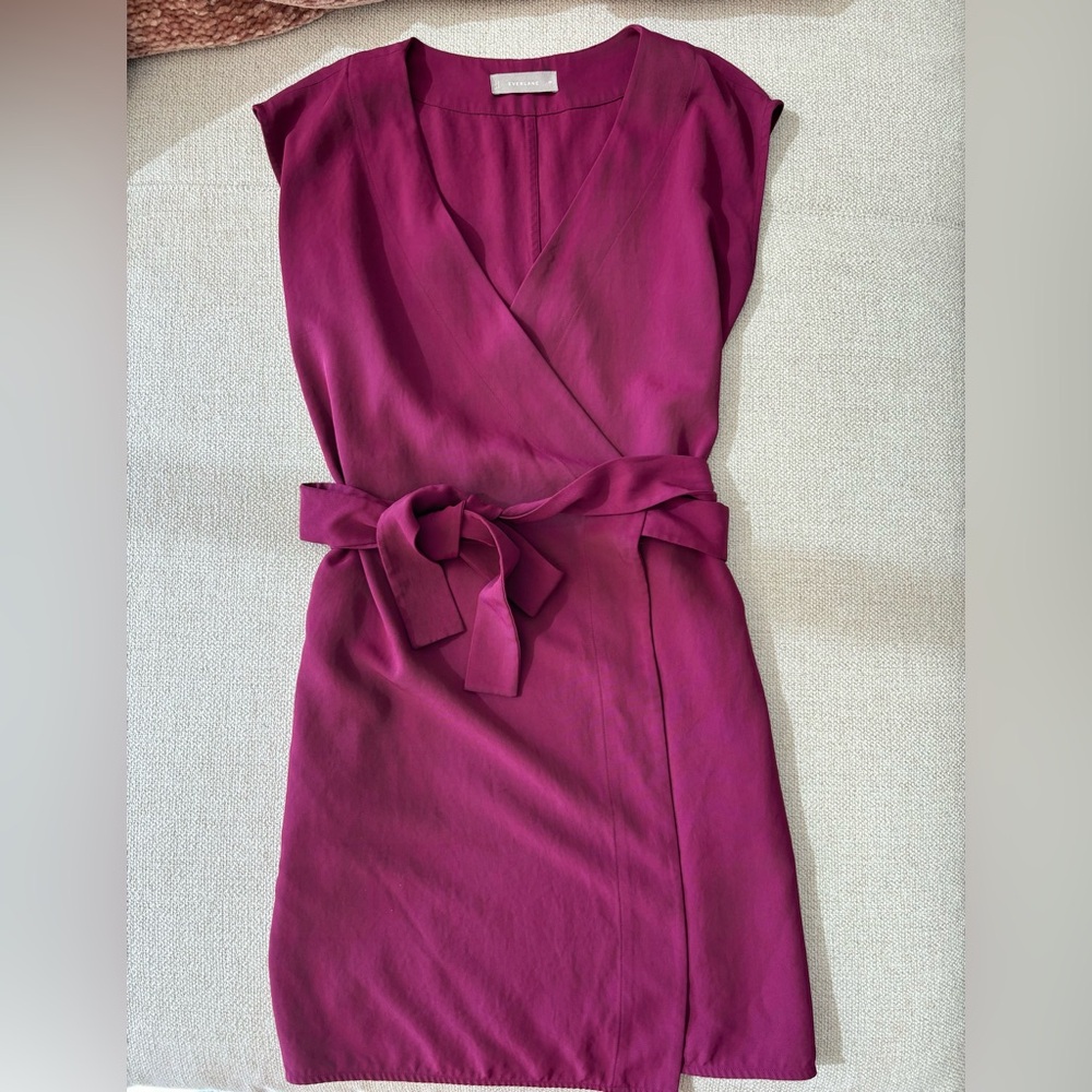 Everlane Japanese GoWeave wrap dress